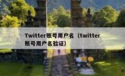 Twitter账号用户名（twitter账号用户名验证）