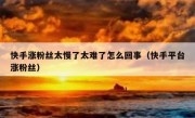 快手涨粉丝太慢了太难了怎么回事（快手平台涨粉丝）
