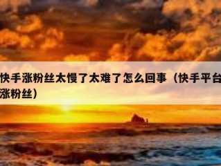 快手涨粉丝太慢了太难了怎么回事（快手平台涨粉丝）