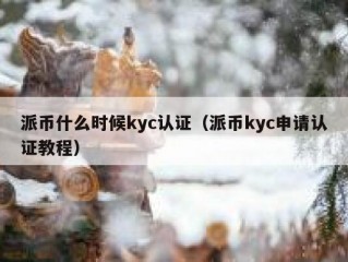 派币什么时候kyc认证（派币kyc申请认证教程）