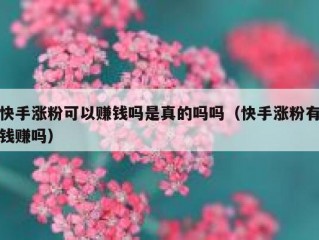 快手涨粉可以赚钱吗是真的吗吗（快手涨粉有钱赚吗）