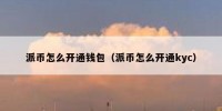 派币怎么开通钱包（派币怎么开通kyc）