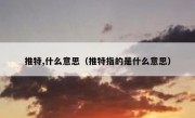推特,什么意思（推特指的是什么意思）