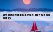 国外服务器在哪里购买便宜点（国外服务器哪家便宜）