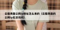 云服务器公网ip地址怎么来的（云服务器的公网ip无法访问）