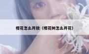 樱花怎么开放（樱花树怎么开花）