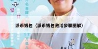 派币钱包（派币钱包激活步骤图解）