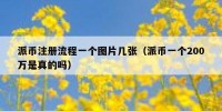 派币注册流程一个图片几张（派币一个200万是真的吗）