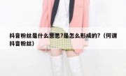 抖音粉丝是什么意思?是怎么形成的?（何谓抖音粉丝）