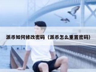 派币如何修改密码（派币怎么重置密码）
