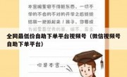 全网最低价自助下单平台视频号（微信视频号自助下单平台）