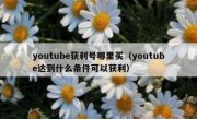 youtube获利号哪里买（youtube达到什么条件可以获利）