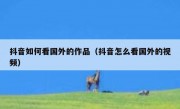 抖音如何看国外的作品（抖音怎么看国外的视频）