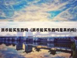 派币能买东西吗（派币能买东西吗是真的吗）