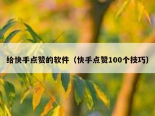给快手点赞的软件（快手点赞100个技巧）
