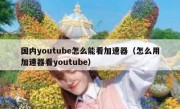 国内youtube怎么能看加速器（怎么用加速器看youtube）