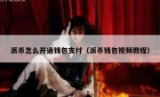 派币怎么开通钱包支付（派币钱包视频教程）