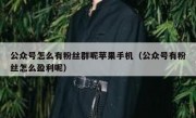 公众号怎么有粉丝群呢苹果手机（公众号有粉丝怎么盈利呢）