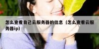 怎么查看自己云服务器的信息（怎么查看云服务器ip）