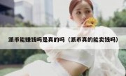 派币能赚钱吗是真的吗（派币真的能卖钱吗）