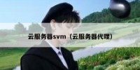 云服务器svm（云服务器代理）