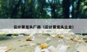 云计算龙头厂商（云计算龙头企业）