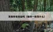 发推特有收益吗（推特一般发什么）