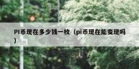 PI币现在多少钱一枚（pi币现在能变现吗）