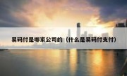 易码付是哪家公司的（什么是易码付支付）