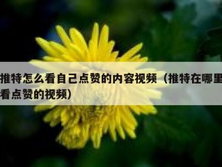 推特怎么看自己点赞的内容视频（推特在哪里看点赞的视频）