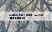 youtube怎么开通收益（youtube开通收益要求）