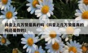 抖音上几万赞是真的吗（抖音上几万赞是真的吗还是假的）