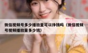 微信视频号多少播放量可以挣钱吗（微信视频号视频播放量多少钱）