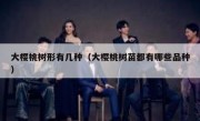 大樱桃树形有几种（大樱桃树苗都有哪些品种）