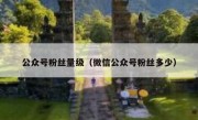 公众号粉丝量级（微信公众号粉丝多少）