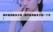 国外服务器多少钱（国外服务器多少钱一个月）