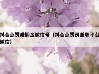 抖音点赞赚佣金微信号（抖音点赞员兼职平台微信）