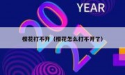 樱花打不开（樱花怎么打不开了）