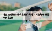 抖音加粉丝赚钱吗是真的吗吗（抖音加粉丝是什么意思）