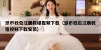 派币钱包注册教程视频下载（派币钱包注册教程视频下载安装）