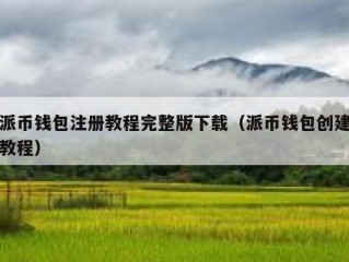 派币钱包注册教程完整版下载（派币钱包创建教程）