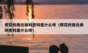 樱花校园兑换码密码是什么呀（樱花校园兑换码密码是什么呀）