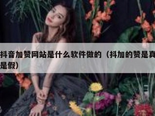 抖音加赞网站是什么软件做的（抖加的赞是真是假）