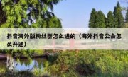 抖音海外版粉丝群怎么进的（海外抖音公会怎么开通）