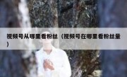 视频号从哪里看粉丝（视频号在哪里看粉丝量）
