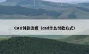 CAD付款流程（cad什么付款方式）