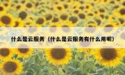 什么是云服务（什么是云服务有什么用呢）