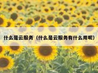 什么是云服务（什么是云服务有什么用呢）