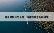 抖音里粉丝怎么加（抖音粉丝怎么加回来）