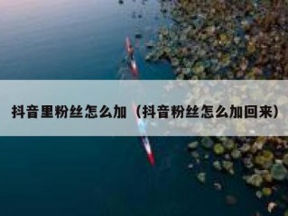 抖音里粉丝怎么加（抖音粉丝怎么加回来）